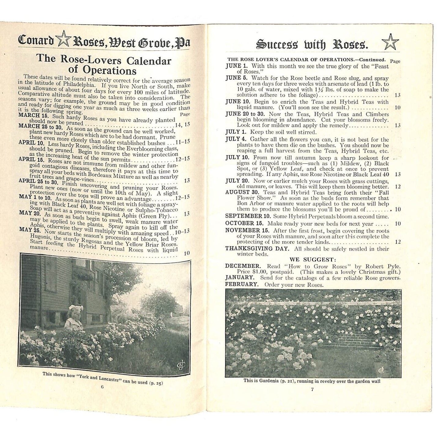 "Success With Roses" Conrad & Jones Roses West Groove, PA 1920 34pp VGC