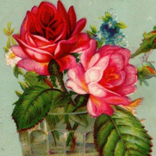 "The White, King of All Sewing Machines" Roses - Large Victorian Trade Card