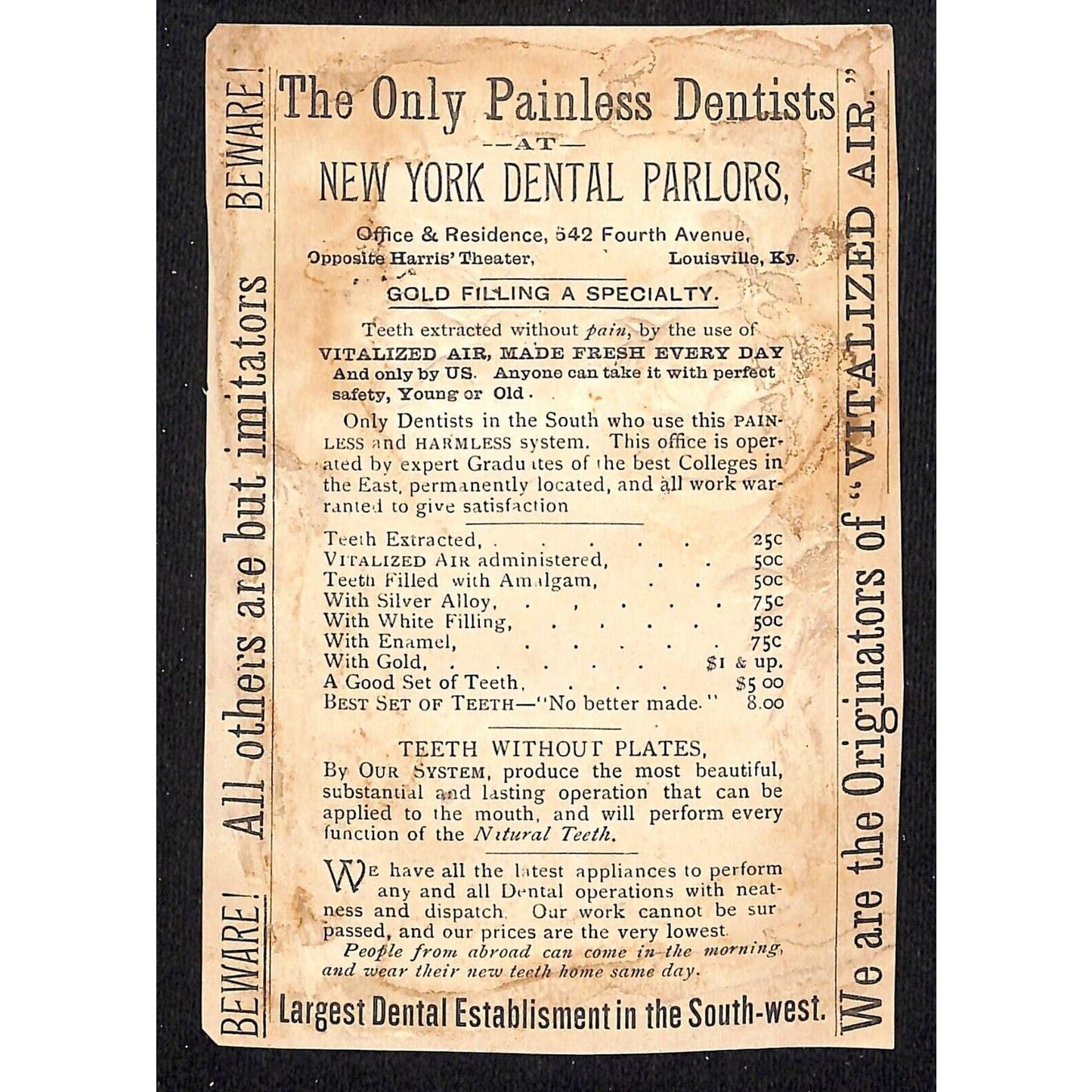 New York Dental Parlors Louisville KY Victorian Trade Card Winter Bird Home