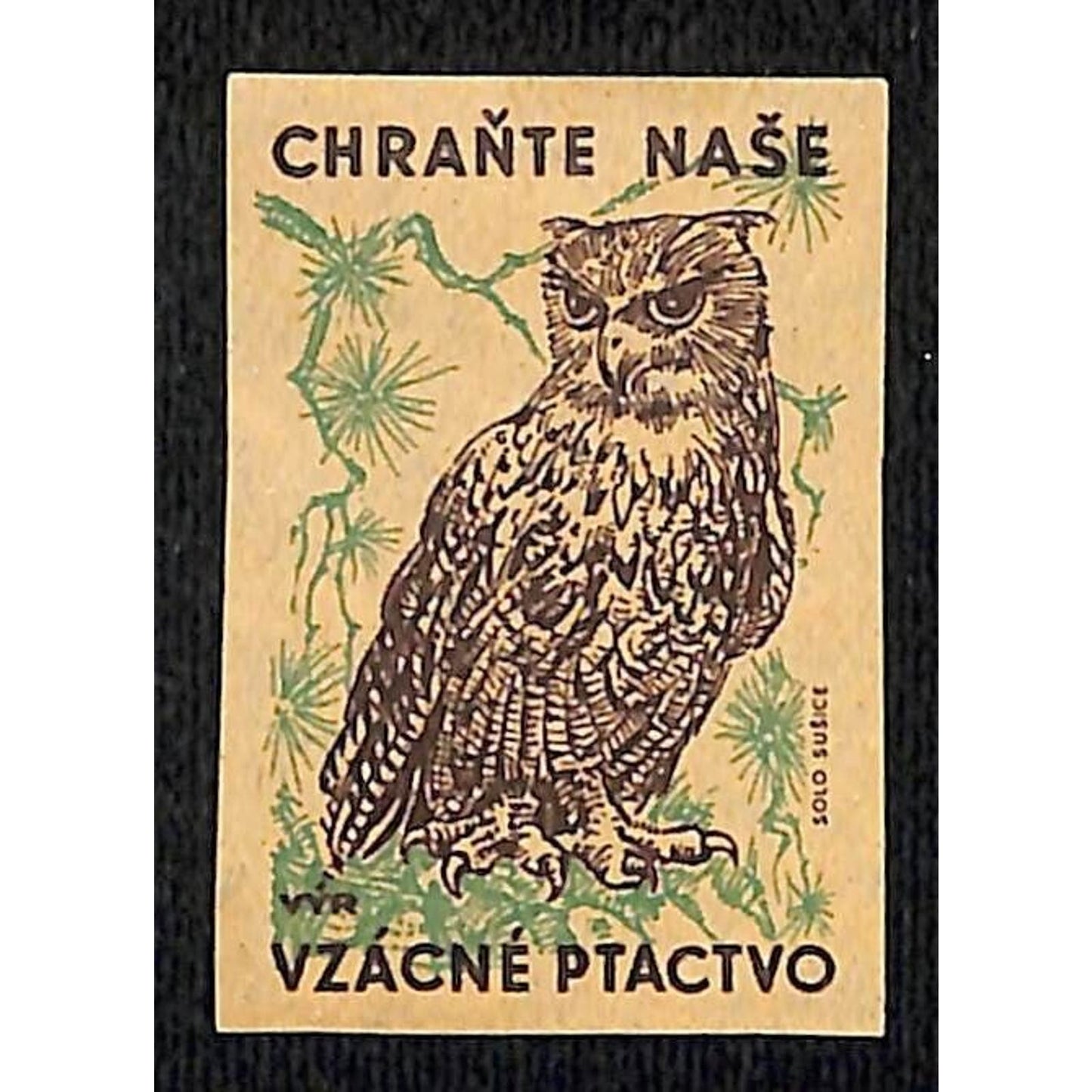 Vintage Matchbox Label Czech Protect Our Rare Birds Owl c1960