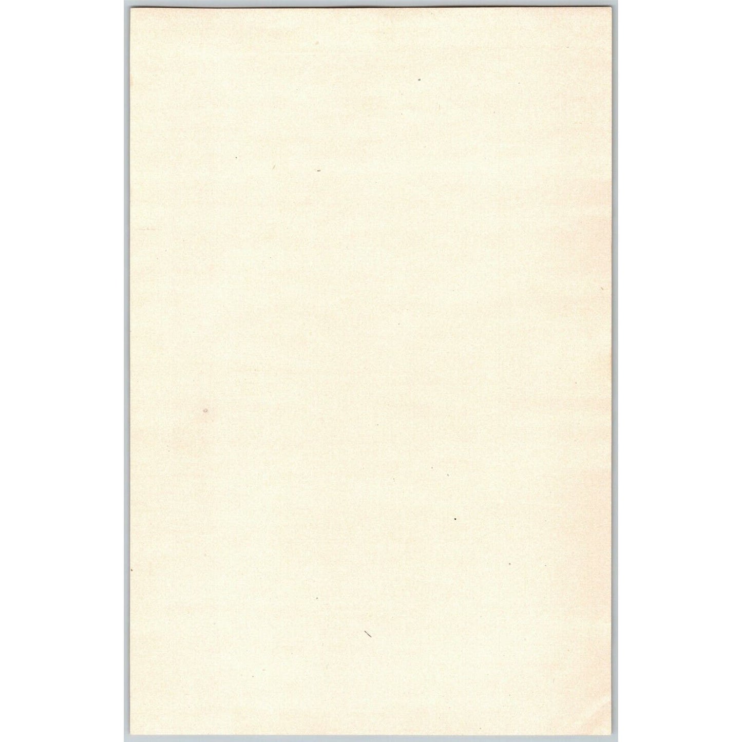 5 1883 U.S. Fish Commission Report Plates 7" x 10.5" Connecticut Oyster Fishery