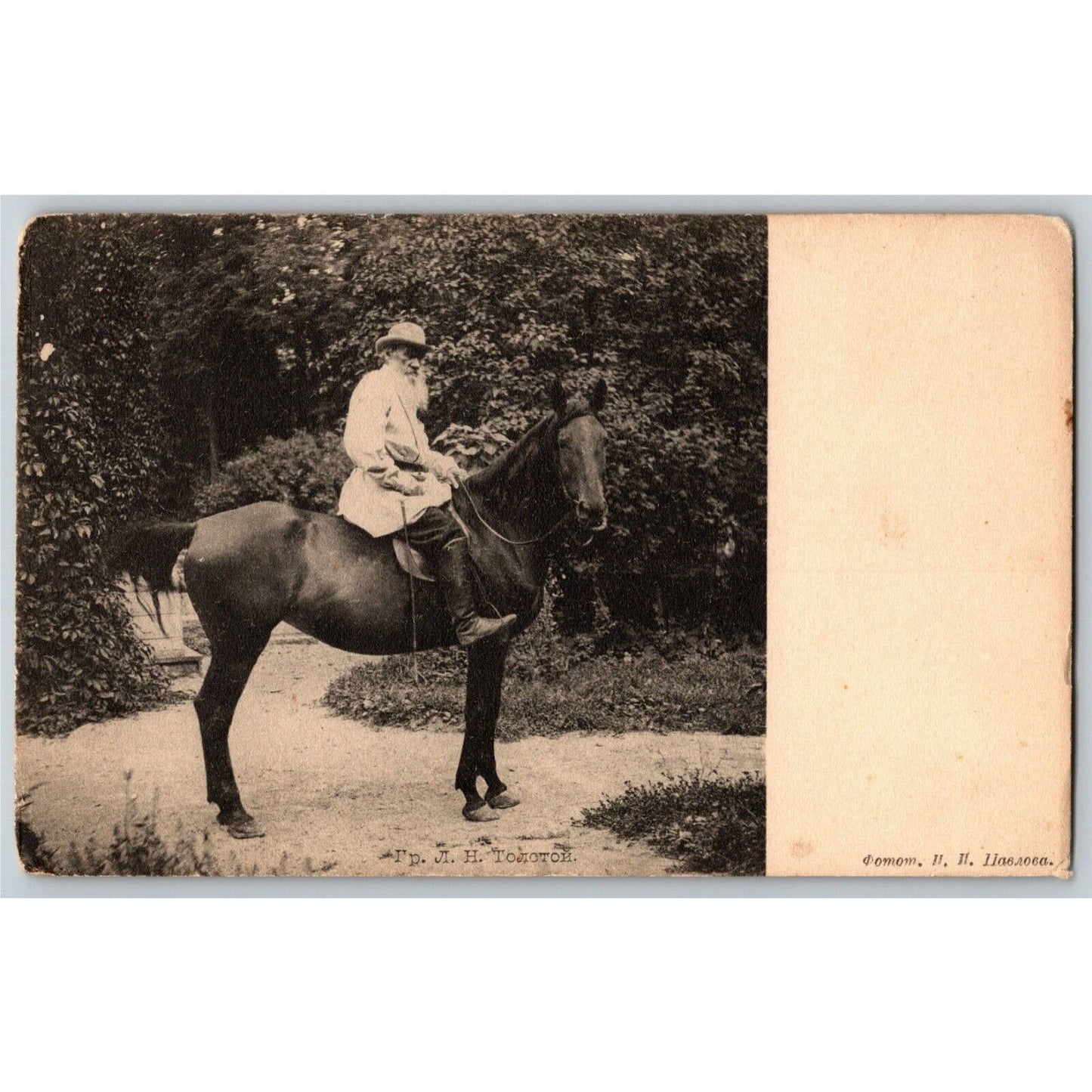 c1906 Vintage Russian Art Postcard Leo Tolstoy on Horse (4183)