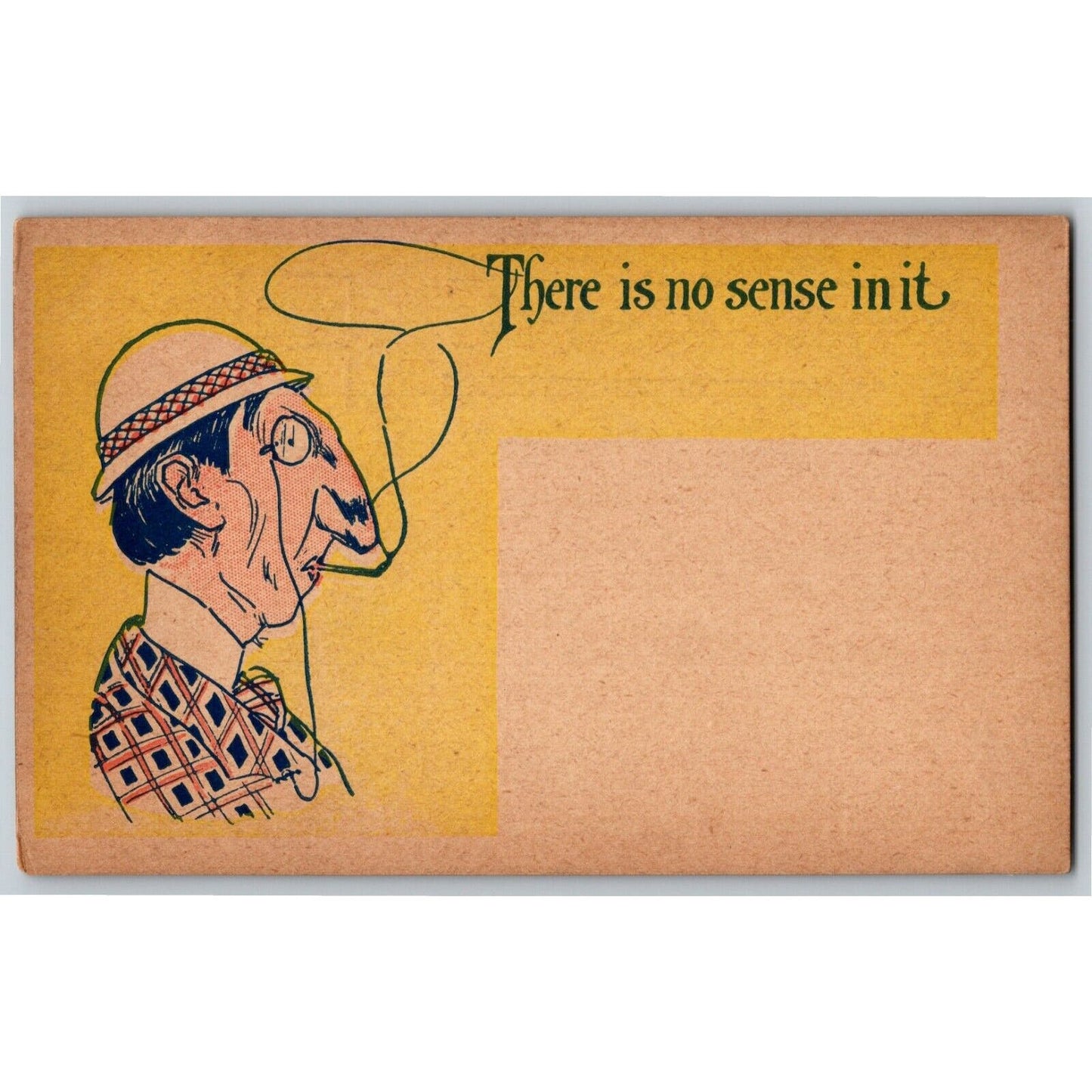 "There Is No Sense In It" c1905 Undivided NP Comic Humor Postcard