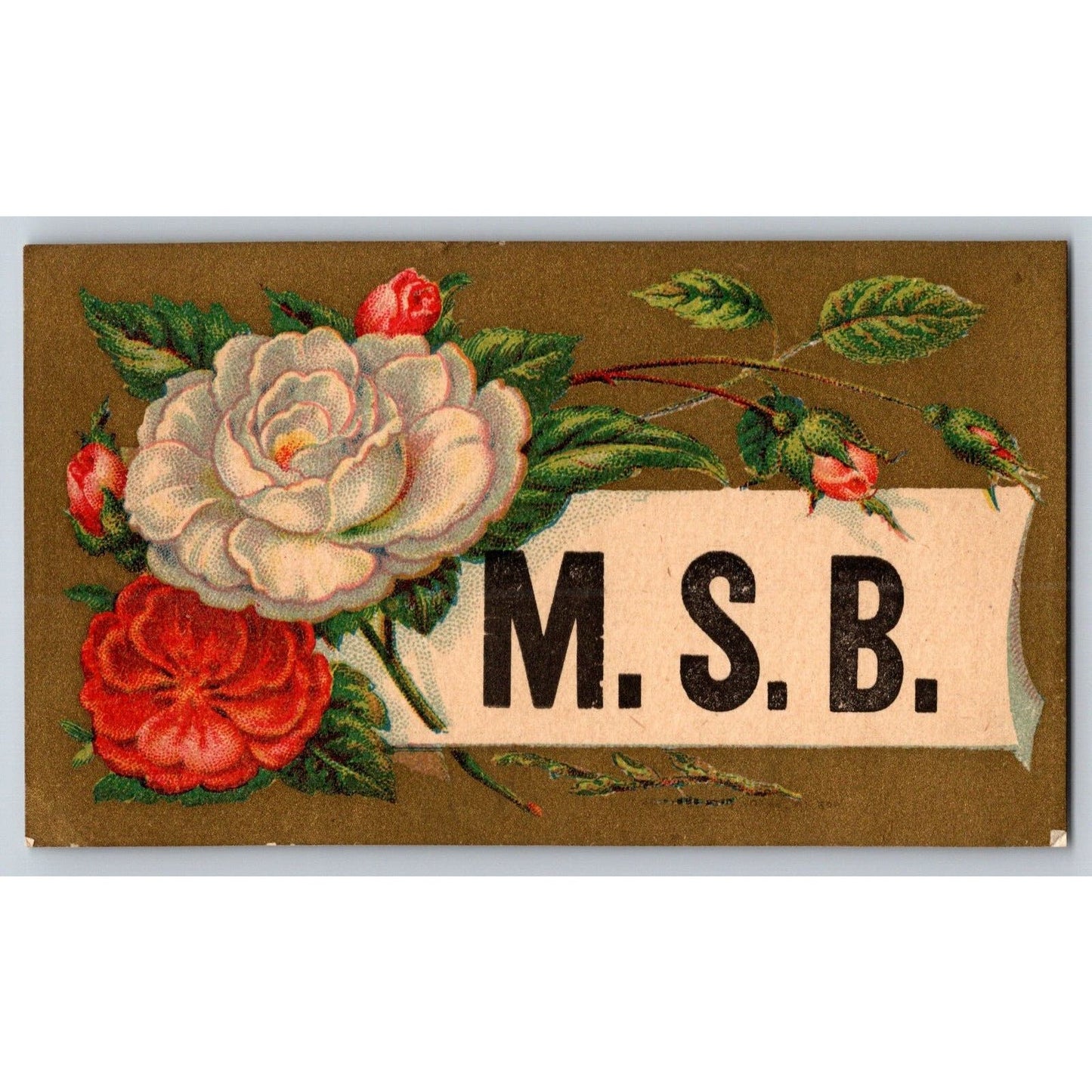 Bosworth, Wells & Co. MSB Corset Marietta, OH Victorian Trade Card Flowers