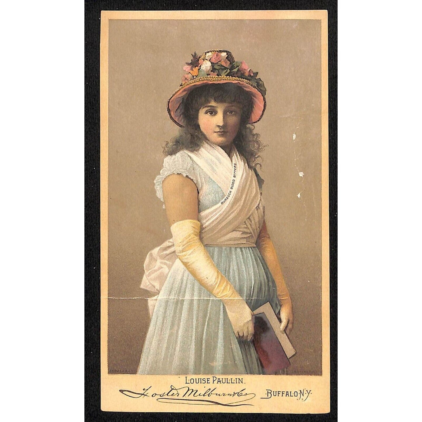 Demon Dyspepsia Burdock Blood Bitters Victorian Trade Card Louise Paullin