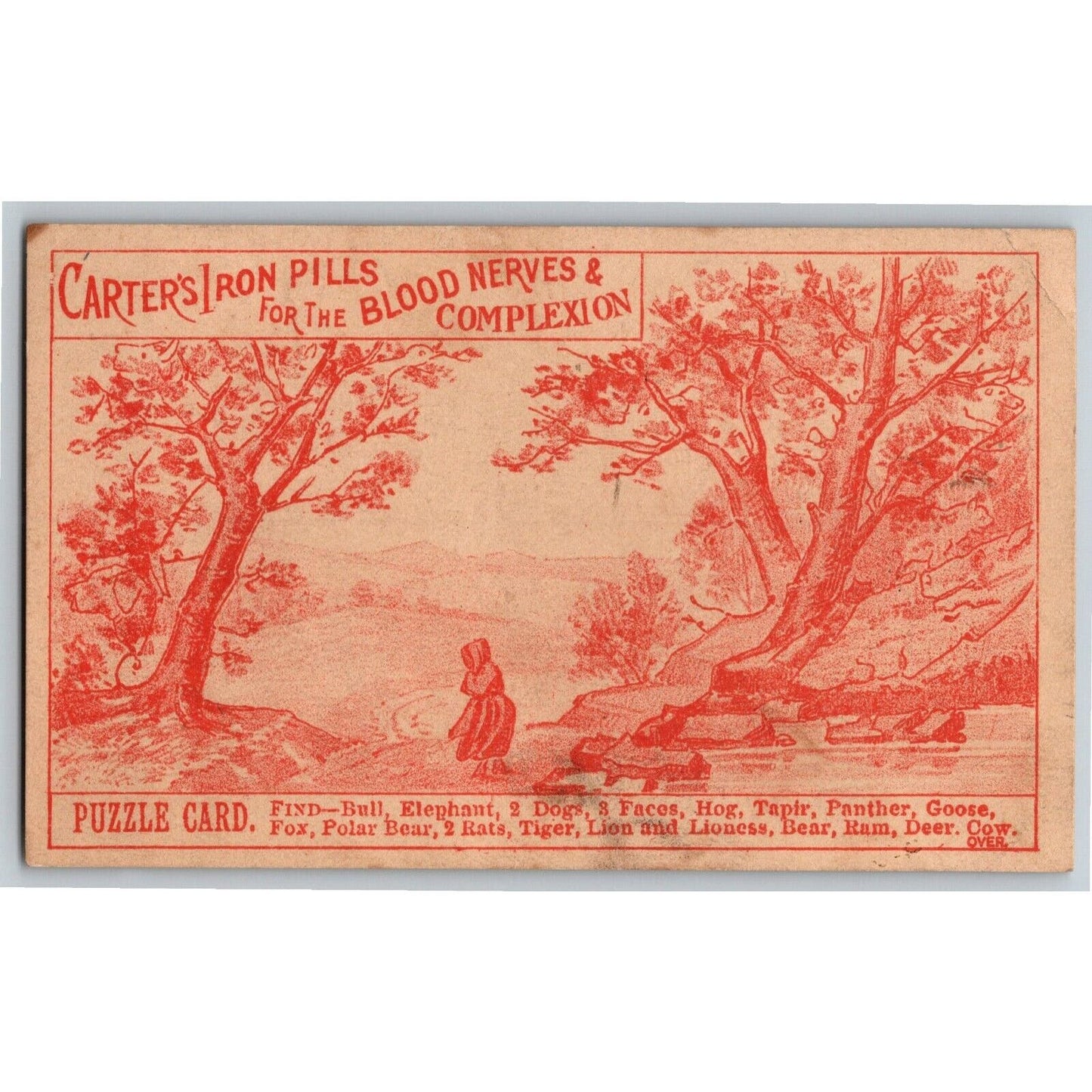 Carter's Iron Pills "For the Blood Nerves" Nature Puzzle Victorian Trade Card