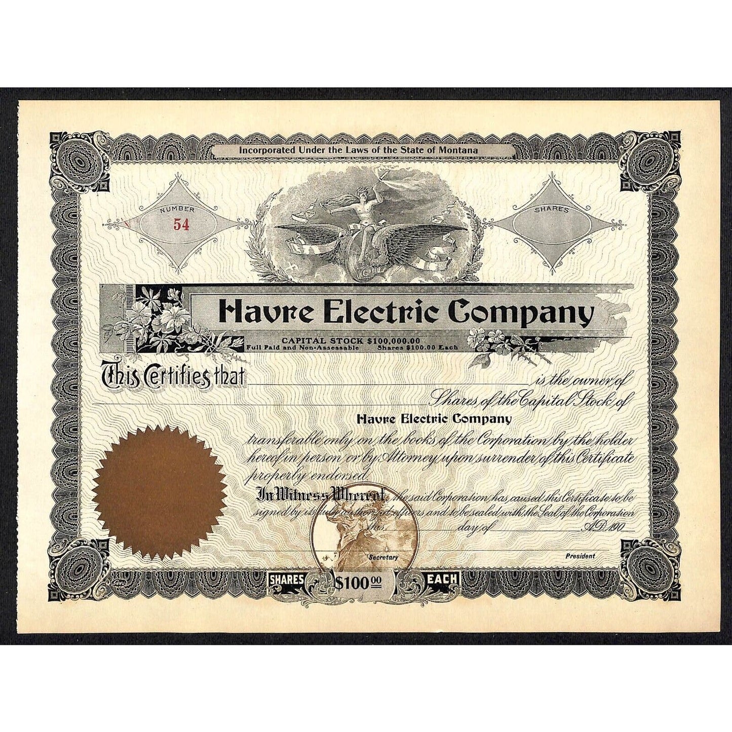 Havre Electric Company Montana c1900 - 1910 Unused Stock Certificate VGC