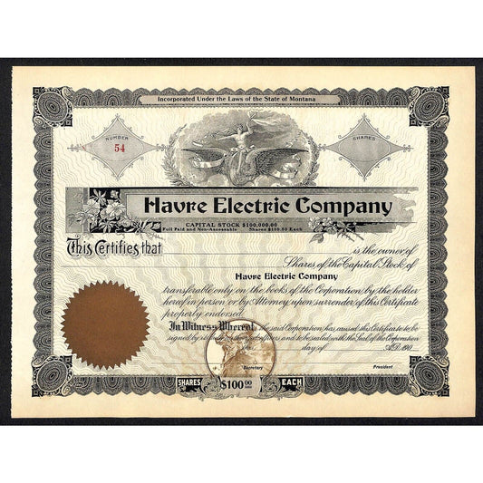 Havre Electric Company Montana c1900 - 1910 Unused Stock Certificate VGC