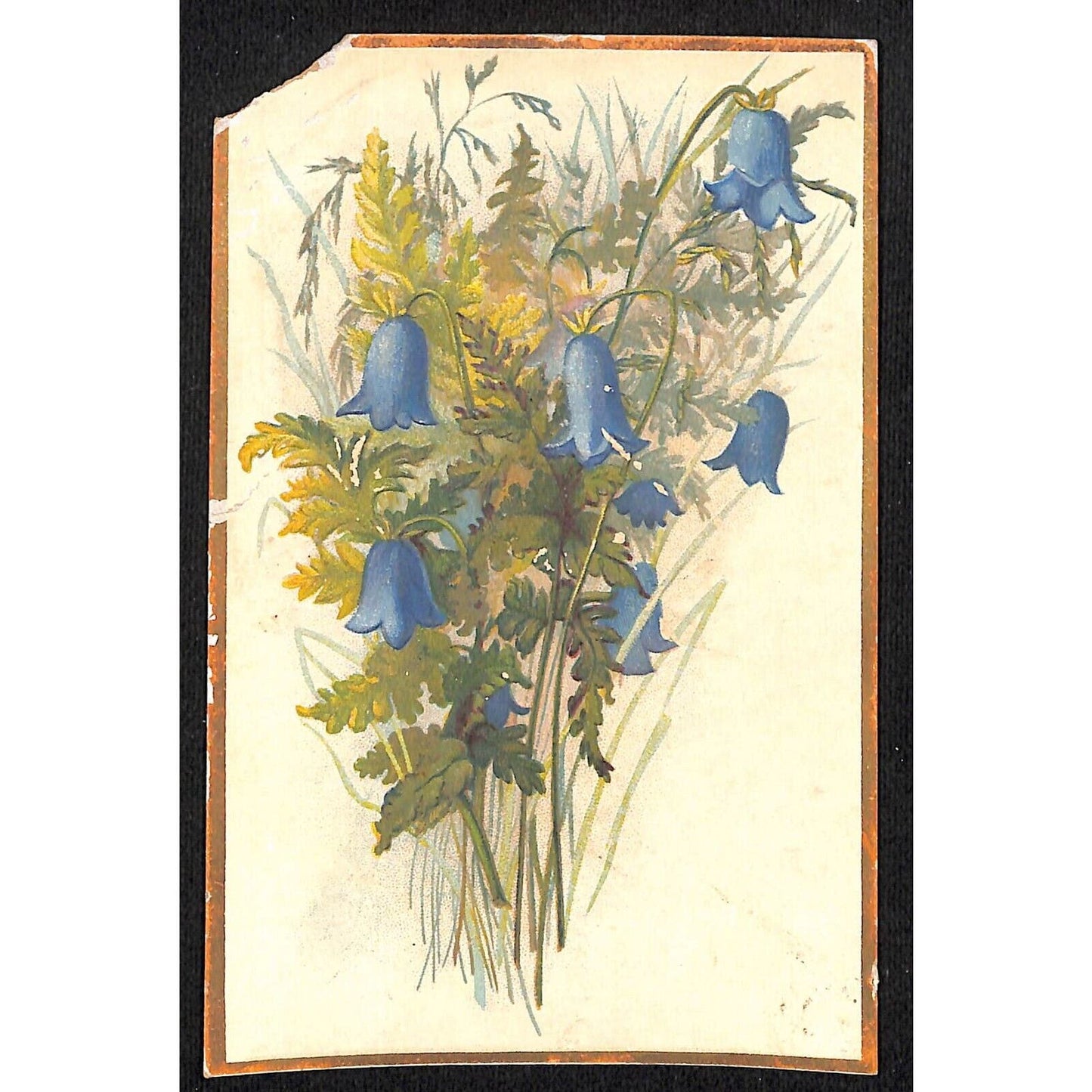 Magic Yeast Cakes Victorian Trade Card - Floral Blue Flowers