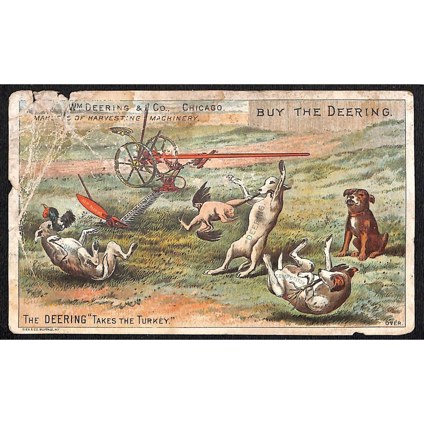 Wm. Deering (Farm Implements) Victorian Trade Card Dogs Pull Apart Turkey