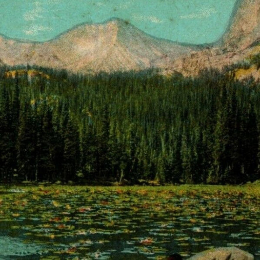 c1915-25 "Lily Pond, Wild Basin" Union Pacific System Unposted Vintage Postcard