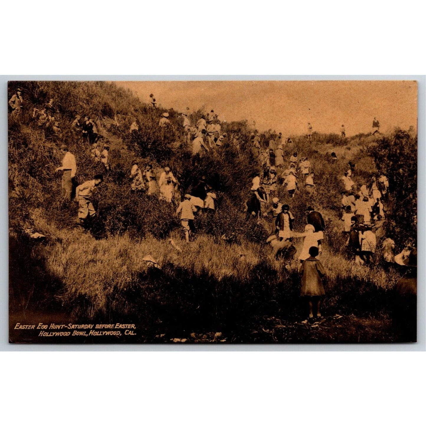 Scarce Hollywood Bowl California Postcard Easter Egg Hunt Before Service c1920's