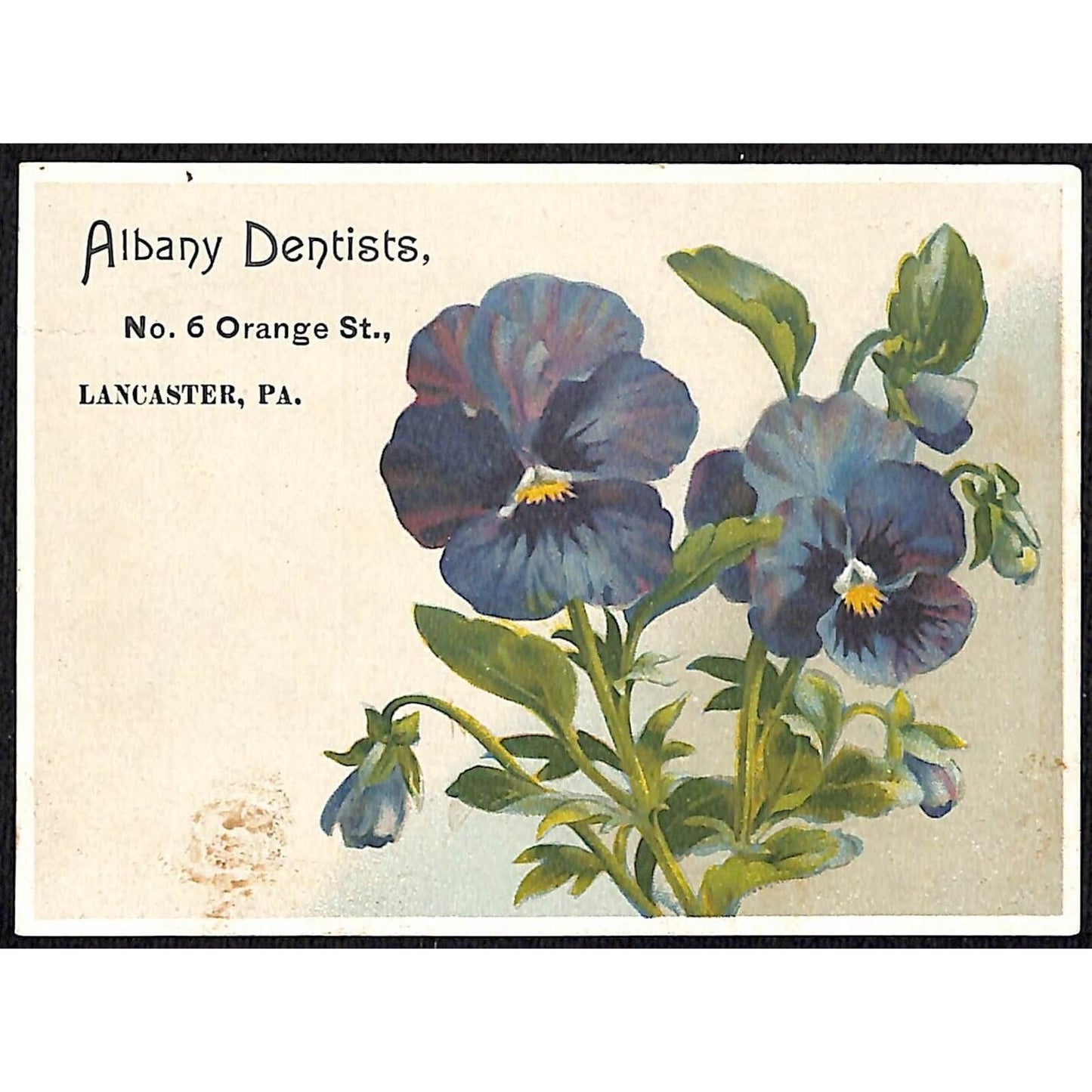 Lancaster, PA Victorian Trade Card Albany Dentists Tonalgia Anesthetic (Cocaine)