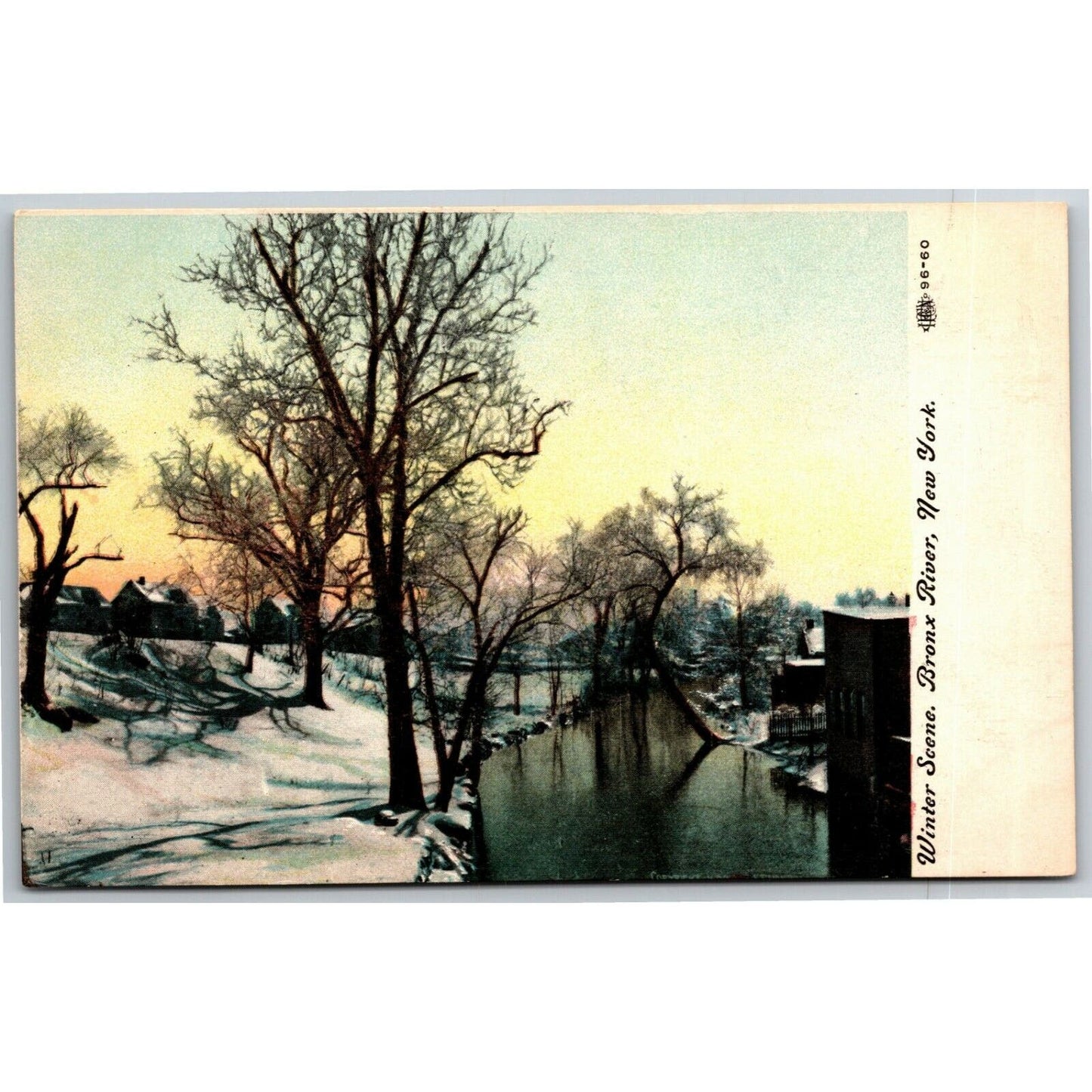 Vintage c1907-14 New York Postcard "Winter Scene, Bronx River" (Illustrated PC)