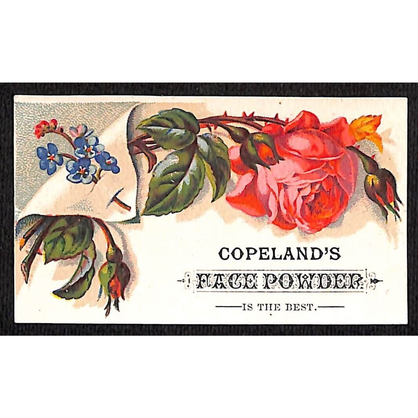Copeland's Oriental Tooth Powder / Face Powder Victorian Trade Card Rose