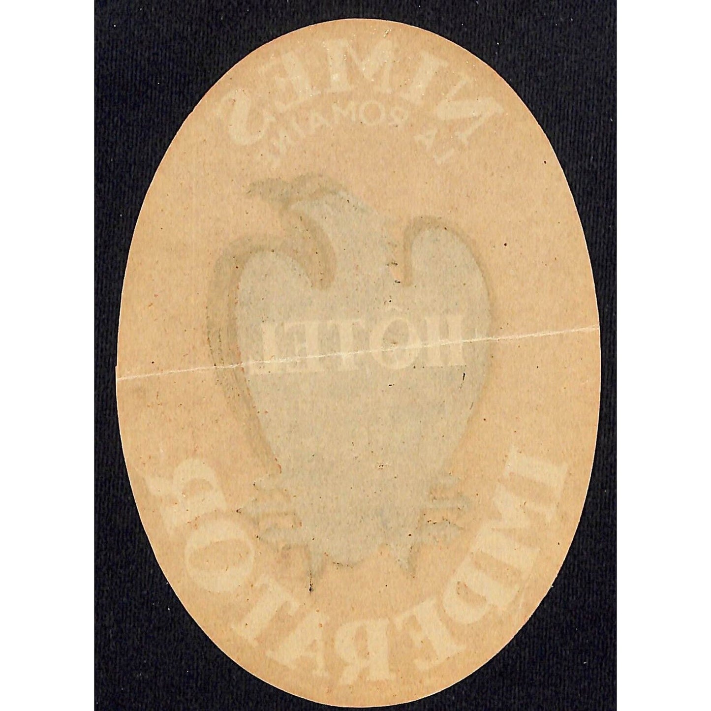 Hotel Imperator - Nimes La Romaine Luggage Label Vintage NOS VGC Eagle / Hawk
