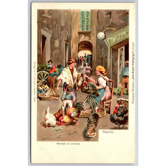 Naples Chicken Market Busy Street Vendor Scene Postcard c1901-1907 NP