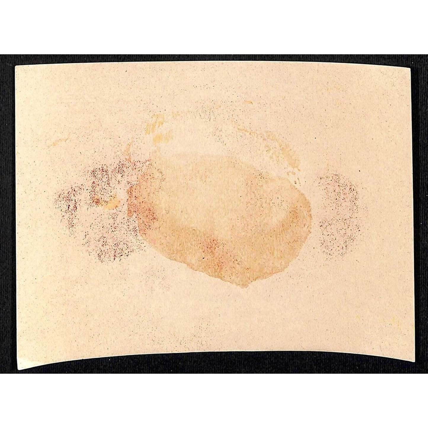 Fallass and Curran Druggists Victorian Trade Card - Vase of Pansies Flowers