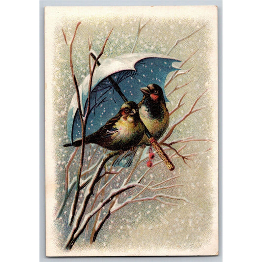 George Boyd & Sons "Queen" Table Syrup Victorian Trade Card Love Birds Umbrella