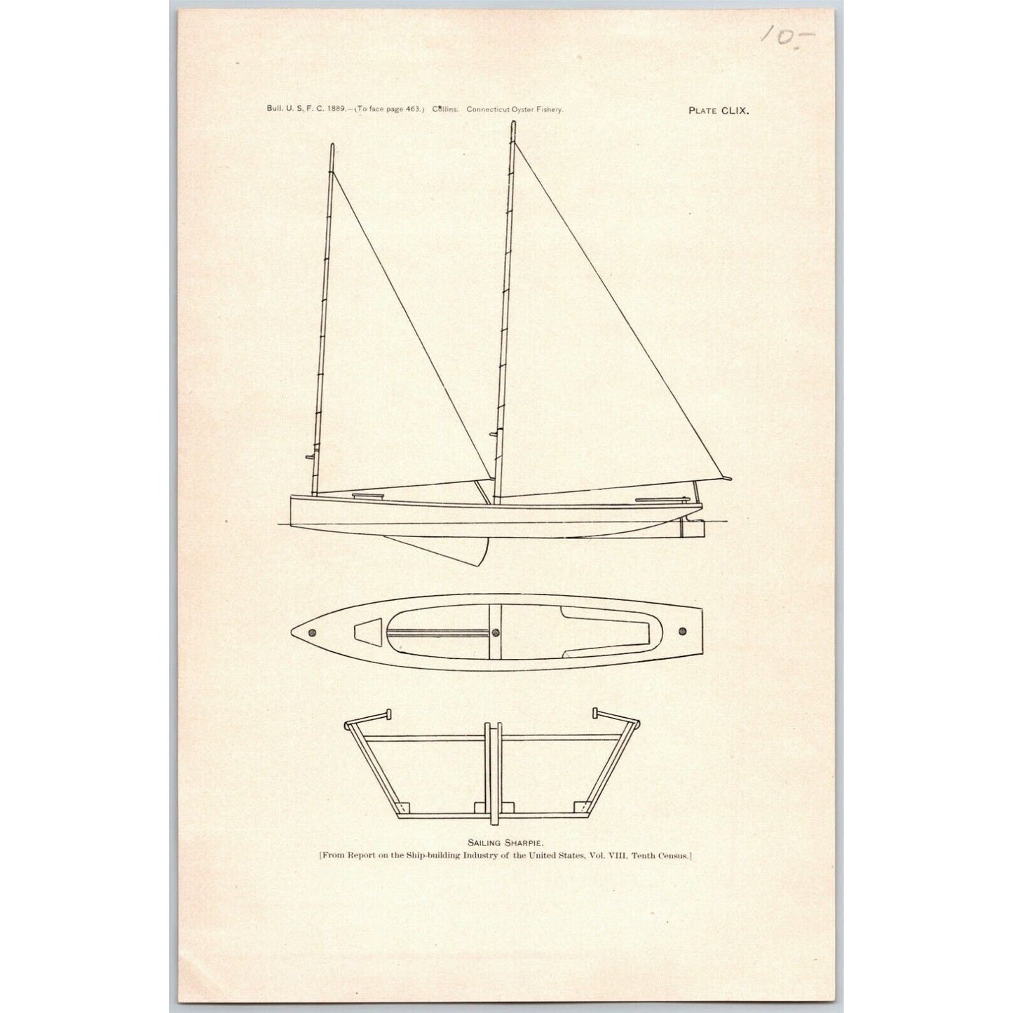 5 1883 U.S. Fish Commission Report Plates 7" x 10.5" Connecticut Oyster Fishery