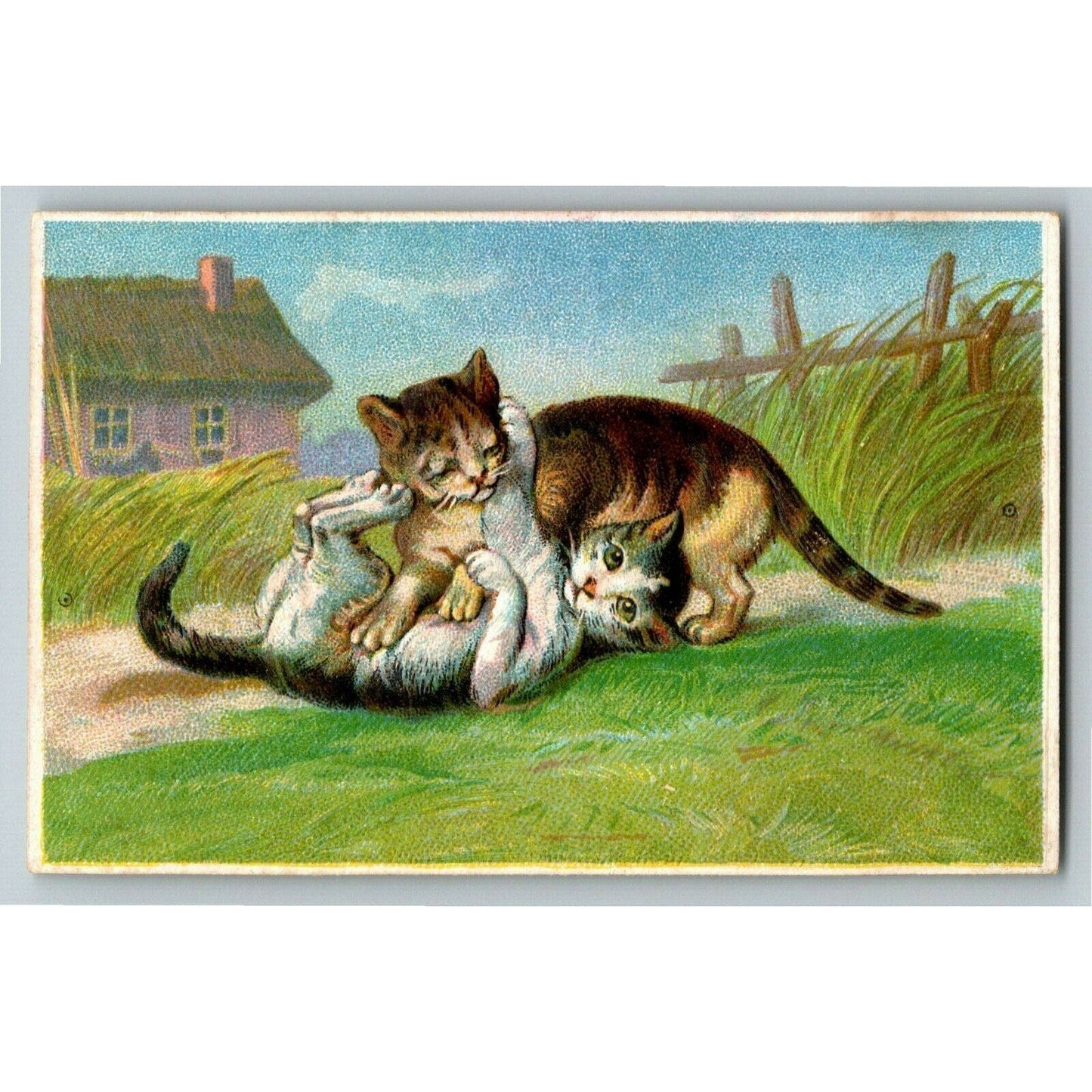 Victorian Small Blank Trade Card Kittens Cats Playing Outdoors - Embossed