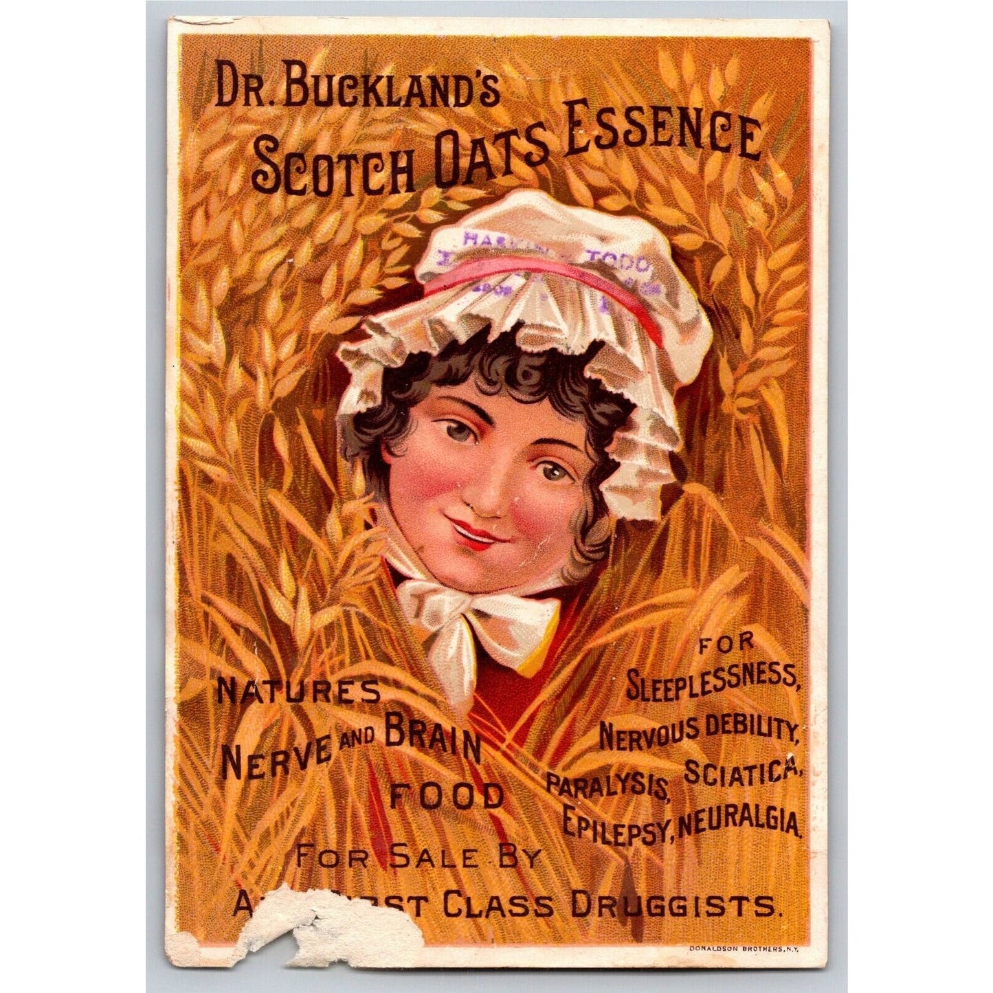 Dr. Buckland's Scotch Oats Essence Victorian Trade Card Woman's Head Oat Field