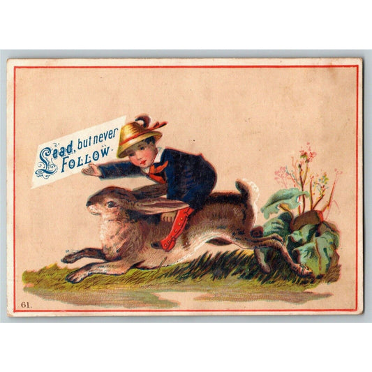 Mayer's Queen of Java Coffee Victorian Trade Card Boy Riding Rabbit / Hare