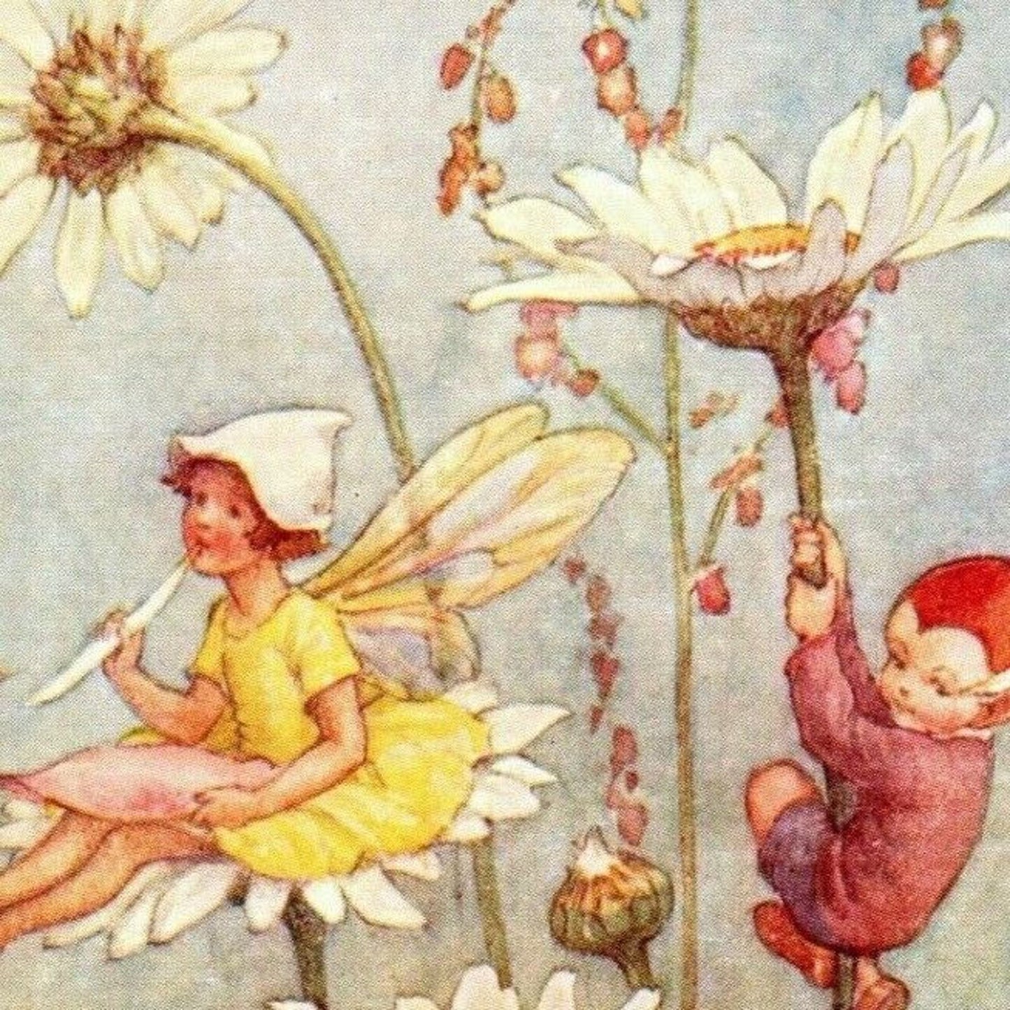 Vintage "Pixie Post" Margaret W. Tarrant (Medici) Fairies Daisies Postcard - VGC