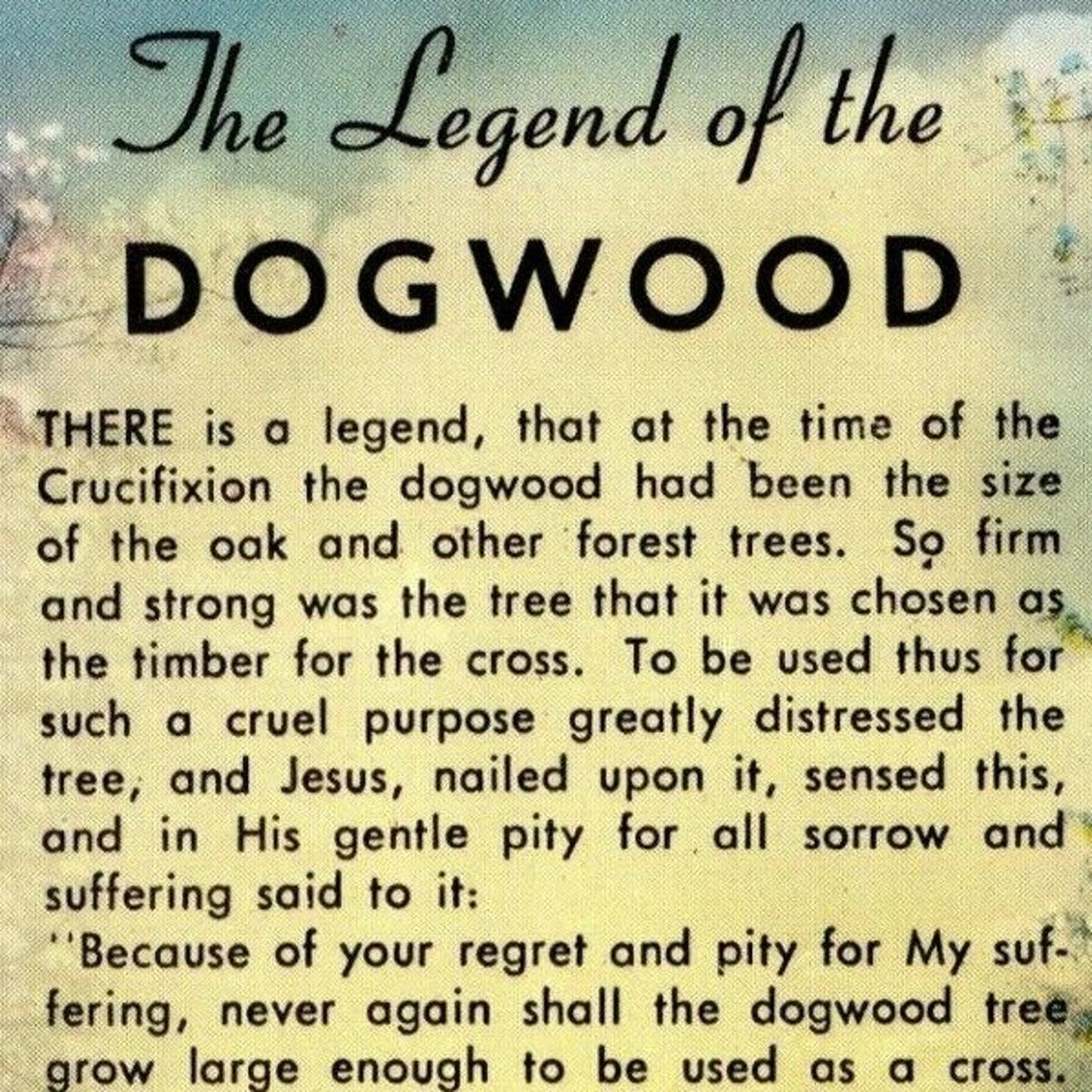 c1950's-60's "The Legend of the Dogwood" Vintage Unposted Postcard