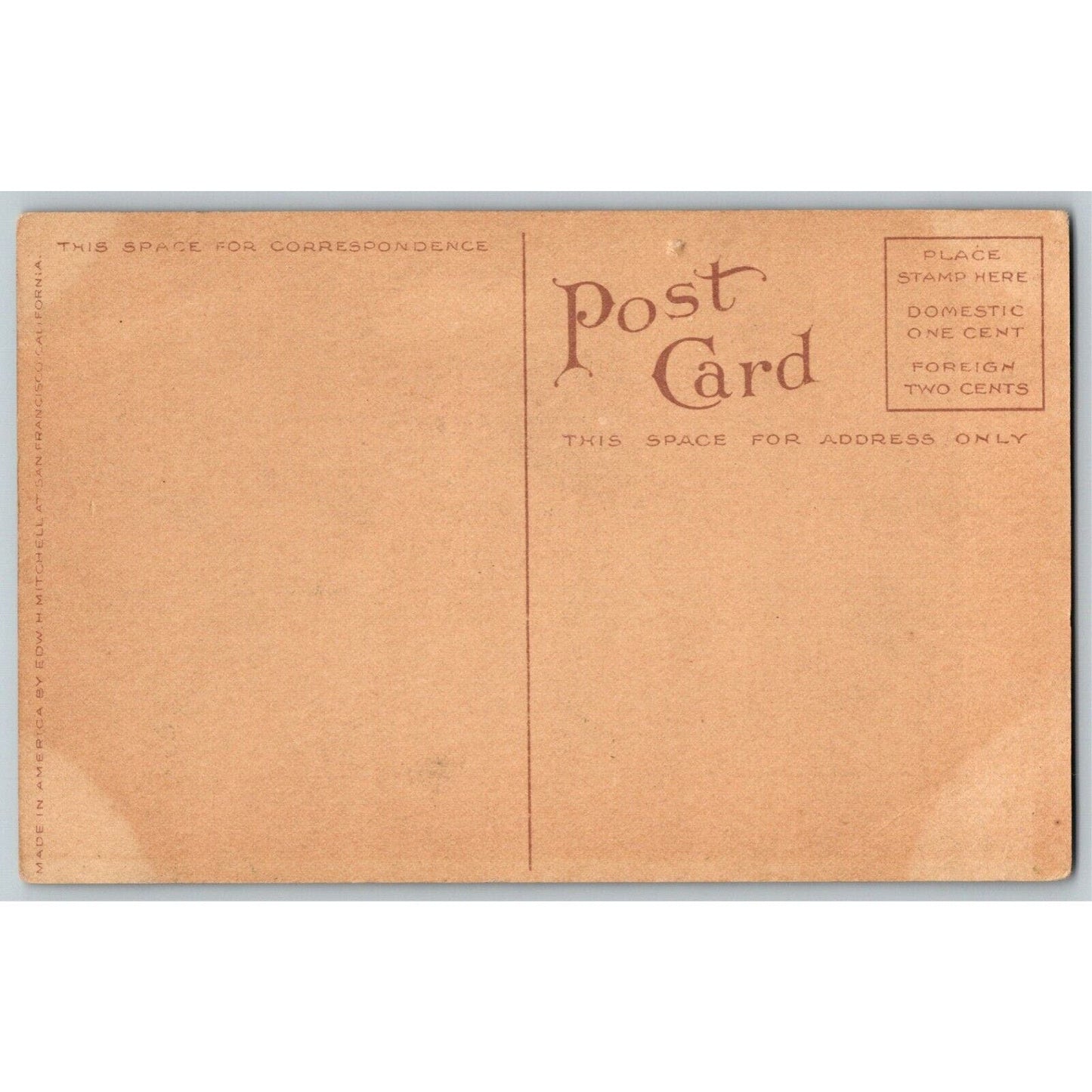 Vintage Romantic Postcard c1909 Couple on Bicycles Path Through Cedar Tree WA