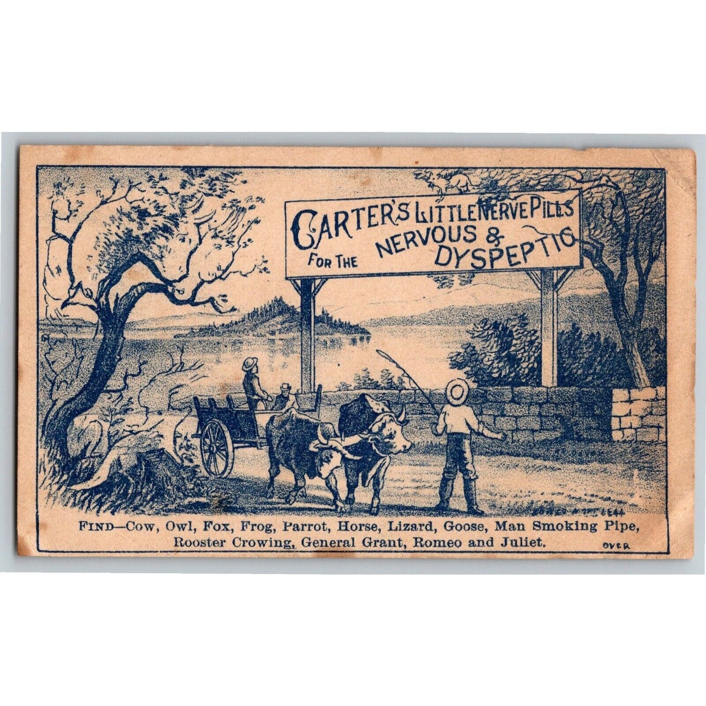 Carter's Little Nerve Pills Outdoor "Find Cow Owl Fox" Game Victorian Trade Card