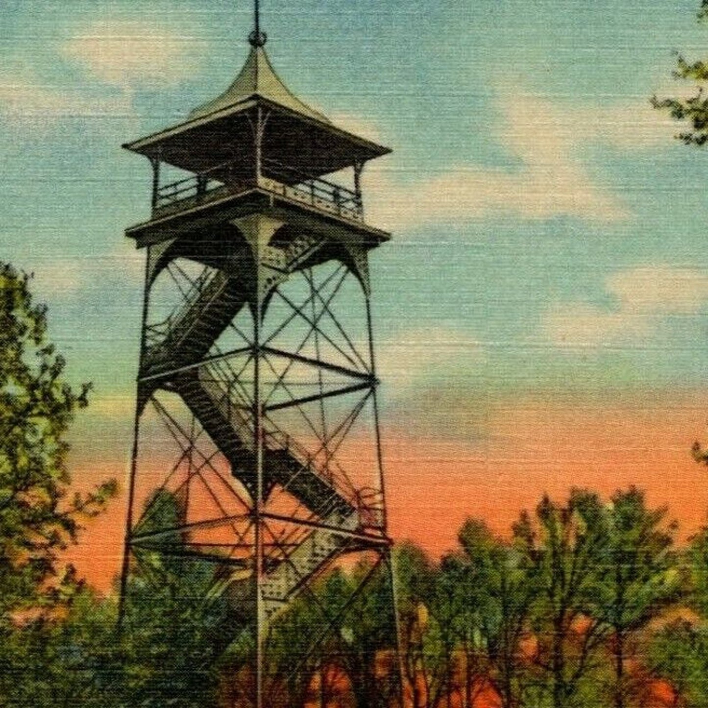 Vintage Linen Postcard Observation Tower Dogwood Blossoms Valley Forge, PA UP