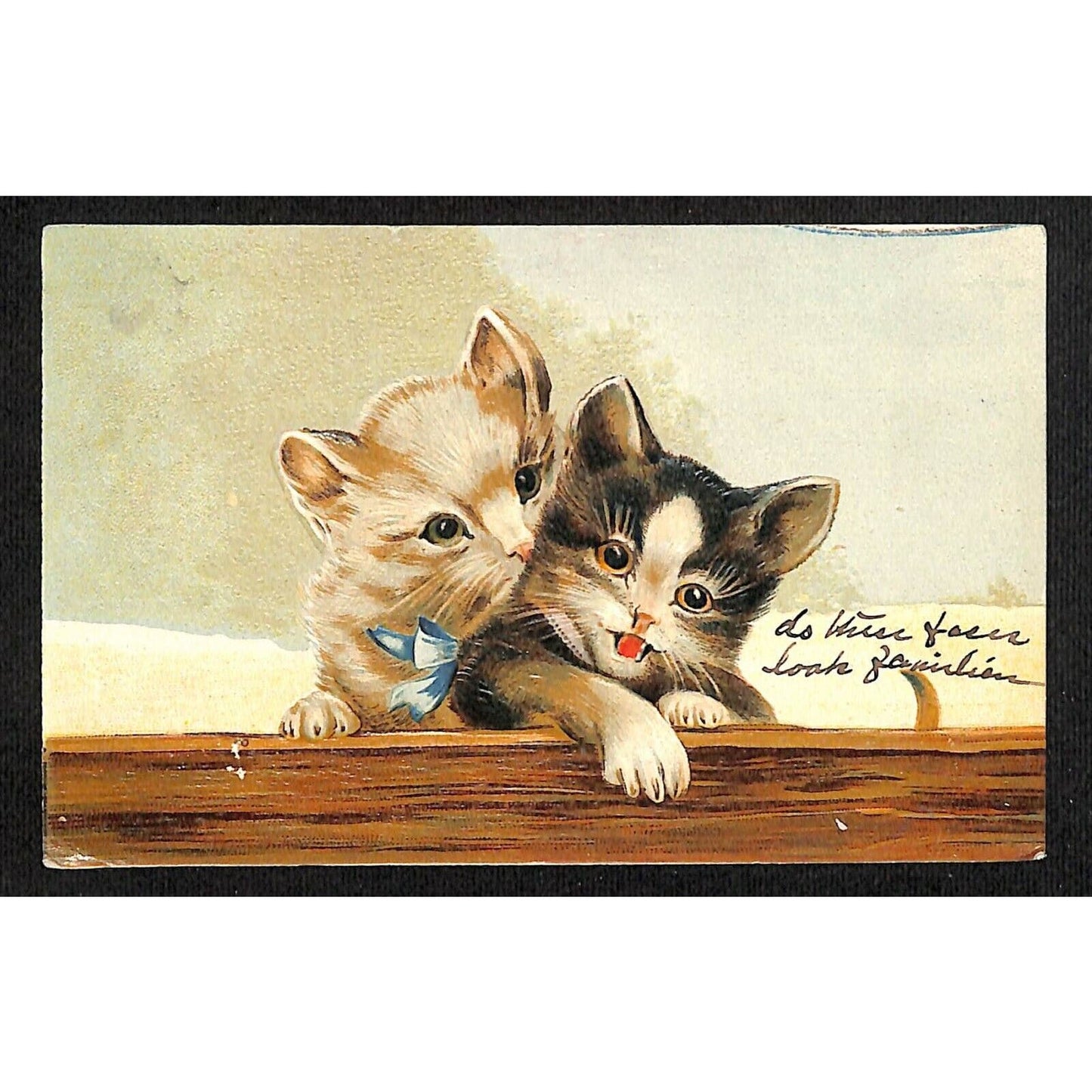 Vintage Postcard Cats Kittens Playing Reverse Embossed PM 1908