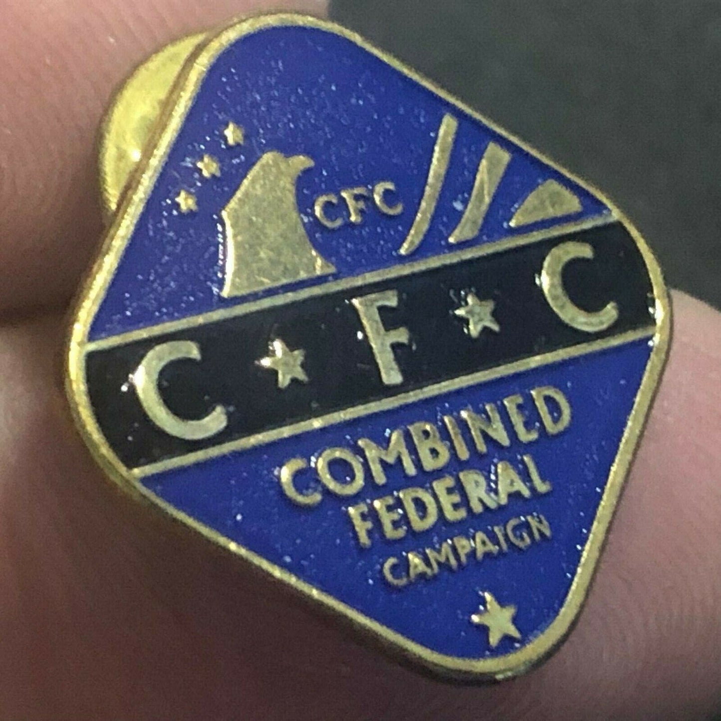 Official NASA CFC Combined Federal Campaign Lapel Pin