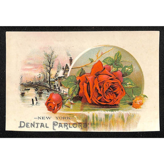 New York Dental Parlors Louisville, KY Victorian Trade Card - Home Winter Rose