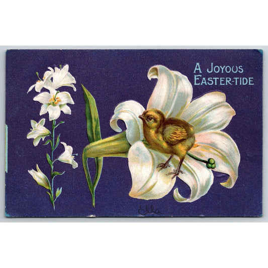 Easter Postcard "A Joyous Easter-tide" Floral Baby Chick EMB. NP c1915
