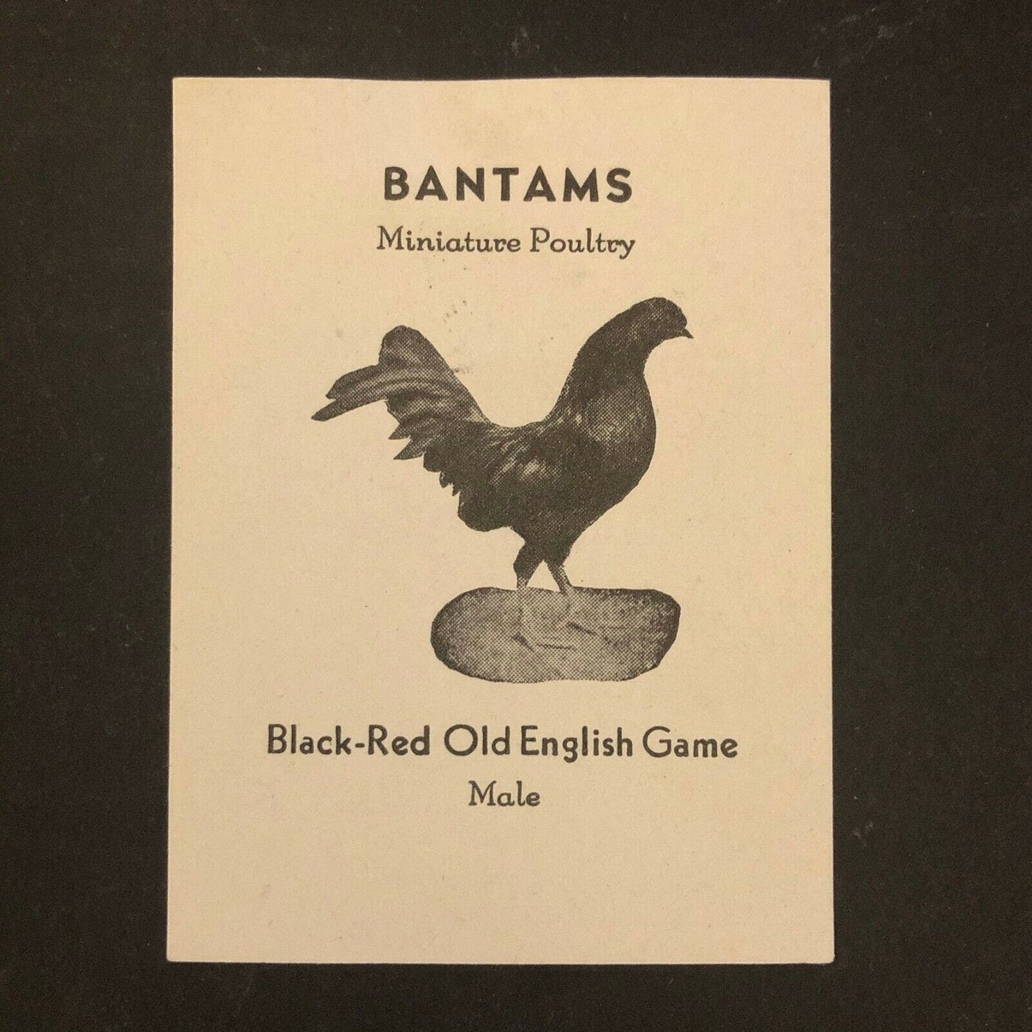 Vintage Advertising Gum Back Sticker - Bantams Miniature Poultry B & Red Old Eng