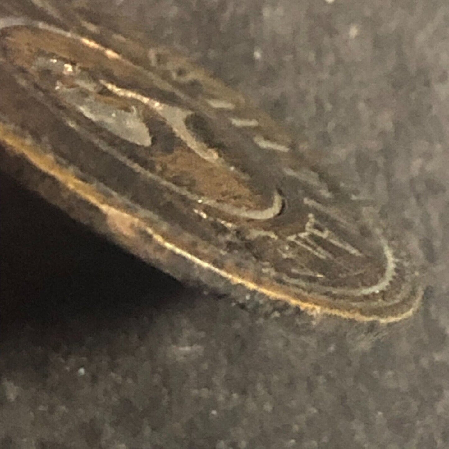 J. Whittaker "5" Uniface Trade Token 25mm