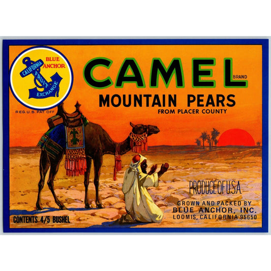 Camel Mountain Pears Loomis, CA Original Paper Fruit Crate Label Desert Scene
