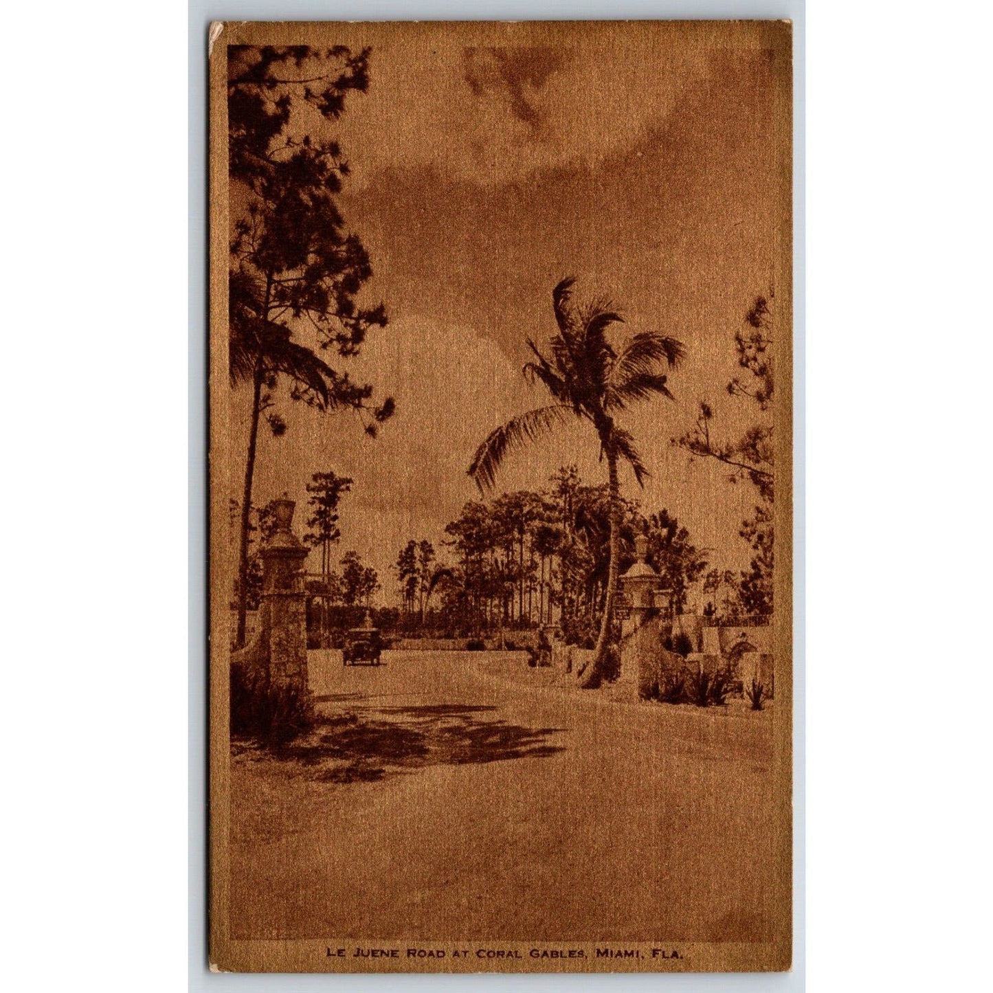 Le Juene Road at Coral Gables, Miami George E. Merrick Postcard c1924 Gilt VGC