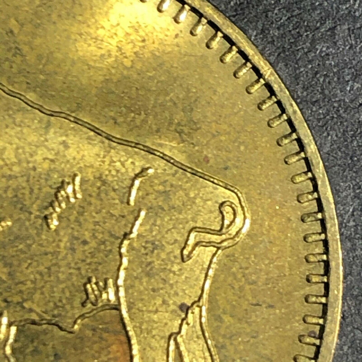 Early 1990's 28.5mm Brass Buffalo Trading Company Orlando, FA Advertising Token