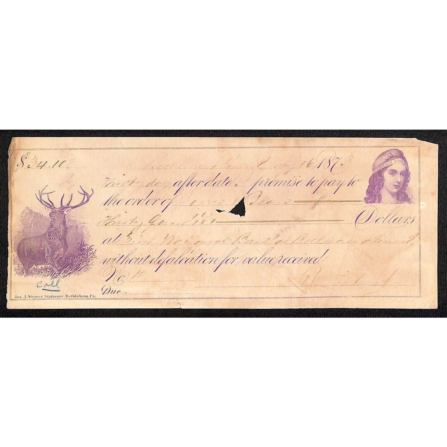 Bethlehem, PA 1873 Bethlehem Bank ? Check Vignettes