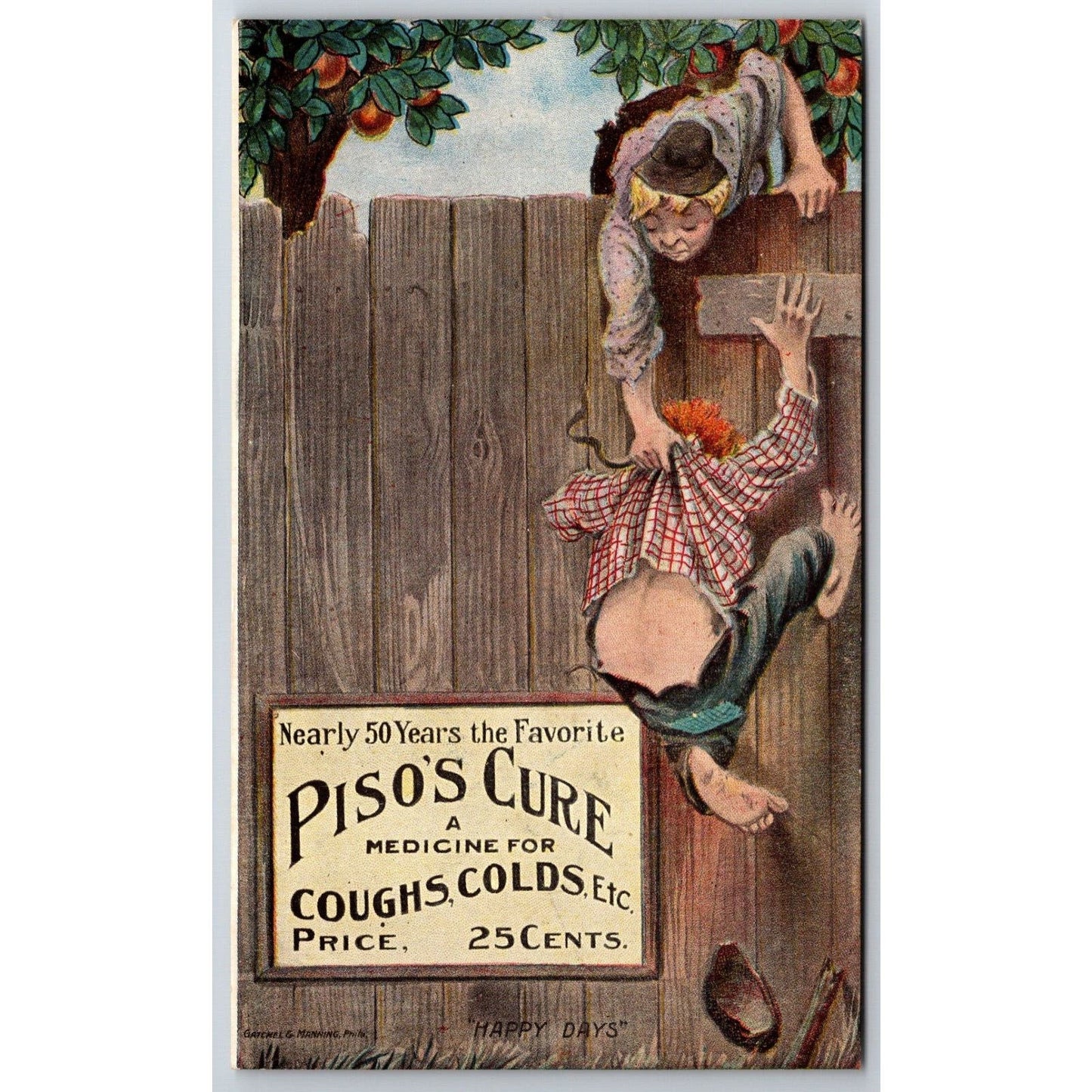 Piso's Cough Cold Boys on Fence Advertising Postcard c1910 VGC