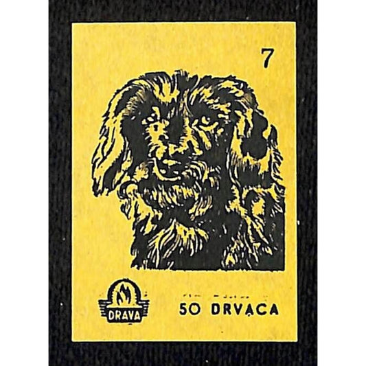 Vintage Yugoslavia Matchbox Label Drvaca Dog Breed Series #7 VGC c1960's