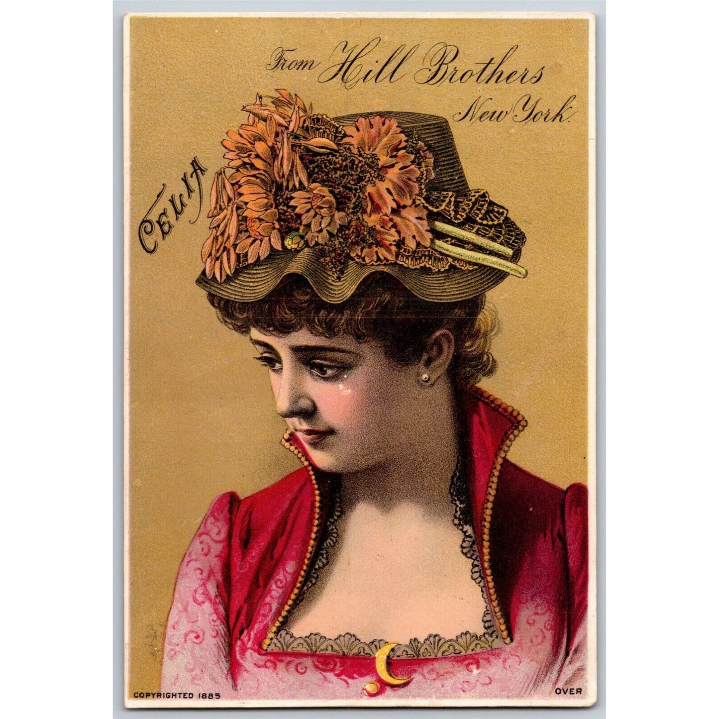 1885 New Orleans World's Fair Hill Bros. Millinery Large Victorian Trade Card
