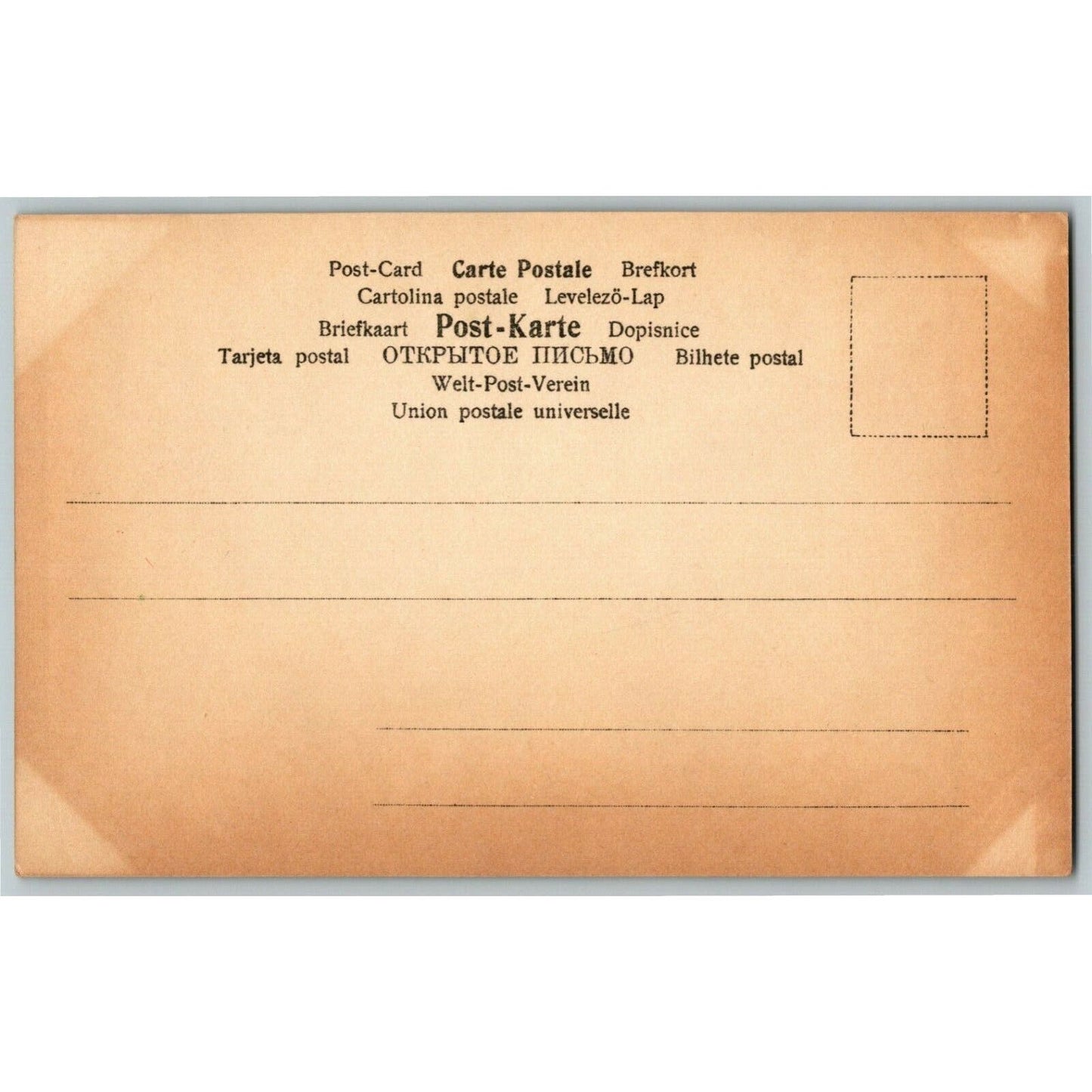 Scarce c1904 Vintage Large Letter Cyrillic Russian Monogram Postcard "Zhe" Kids