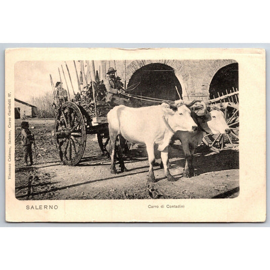 Italian Postcard Salerno "Farmer's Wagon" Ox Oxen 1901-1907 NP VGC