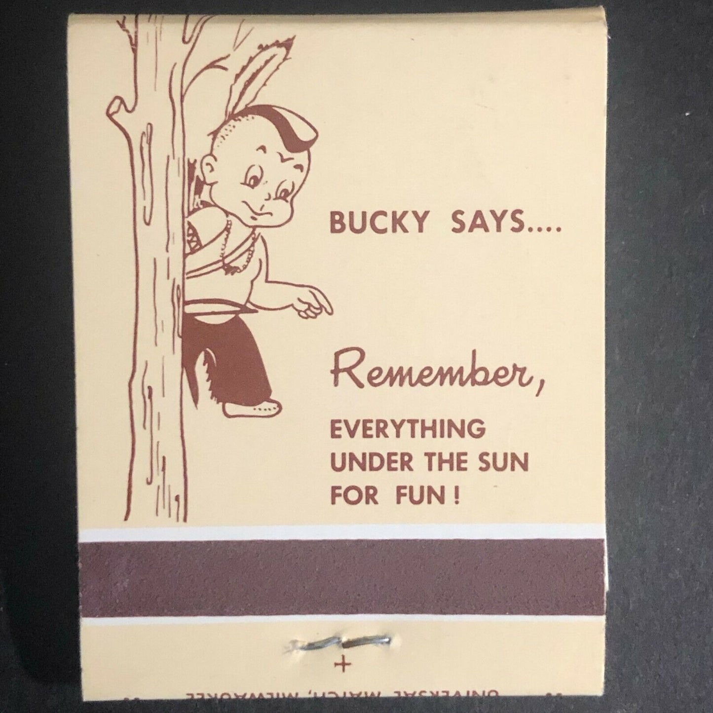 Delavan, WI Lake Lawn Lodge c1970's-80's Full Matchbook "Bucky Says.."