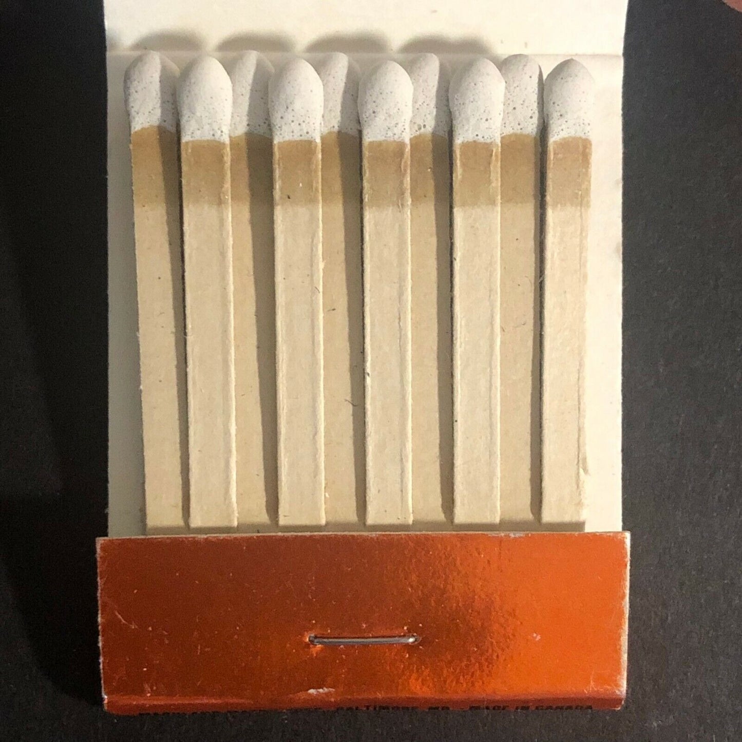 Mi Ranchito Restaurant Kalamazoo, MI Cactus c1970's-80's Full Matchbook
