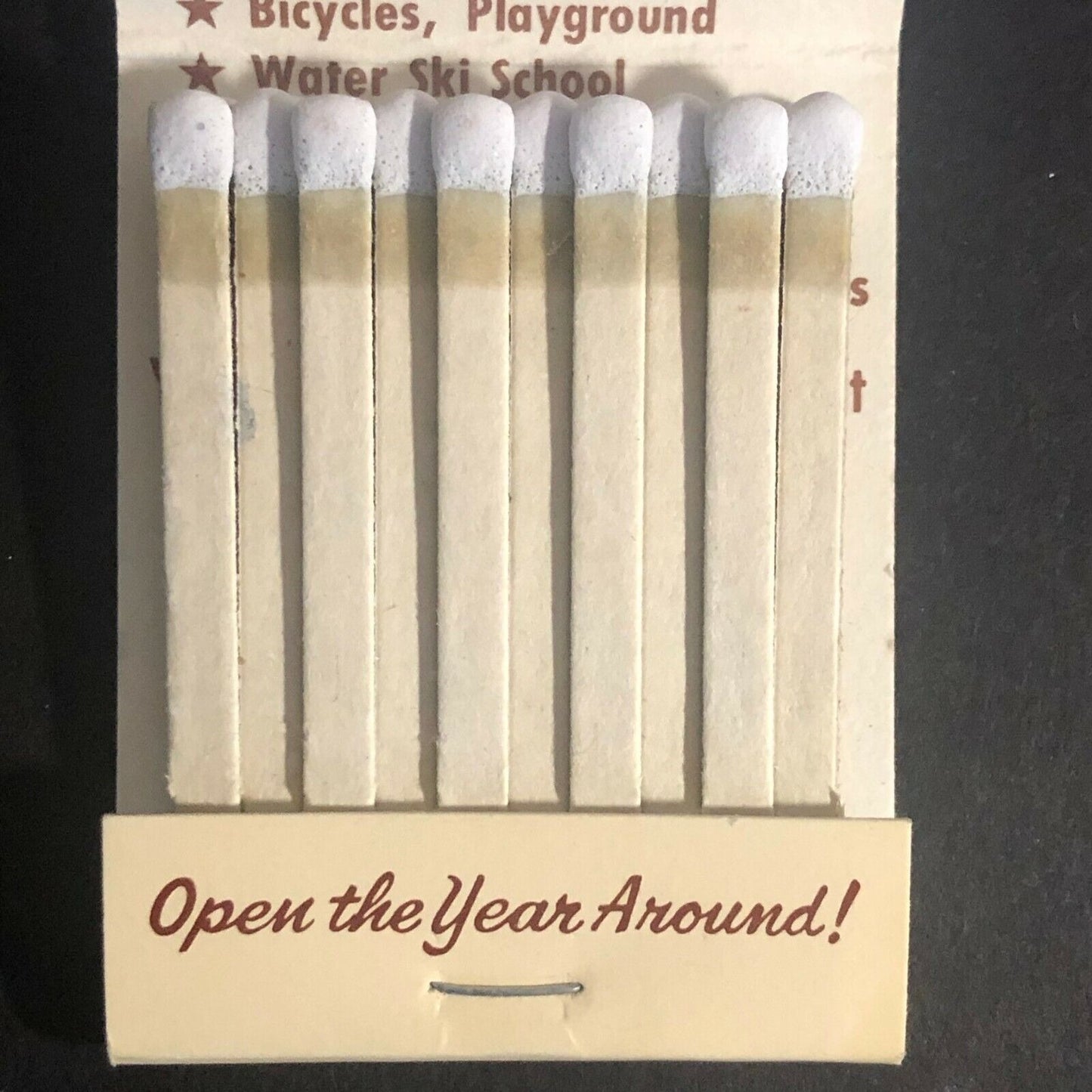 Delavan, WI Lake Lawn Lodge c1970's-80's Full Matchbook "Bucky Says.."